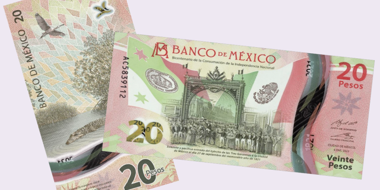 How to identify a real $500 pesos bill – Gringo Gazette North